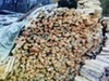 Фотография: Продам берёза сосна осина колотые дрова сухие.