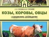 Фотография: Куплю КРС, баранов, конину