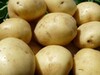 Фотография: Новый урожай овощей с алтайского поля прямым оптом