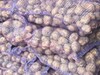 Фотография: Поставка алтайских овощей из современных картофеле