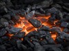Фотография: Уголь сортовой ДПК Бийск 