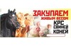 Фотография: Закупаю КРС, баранину, свинину